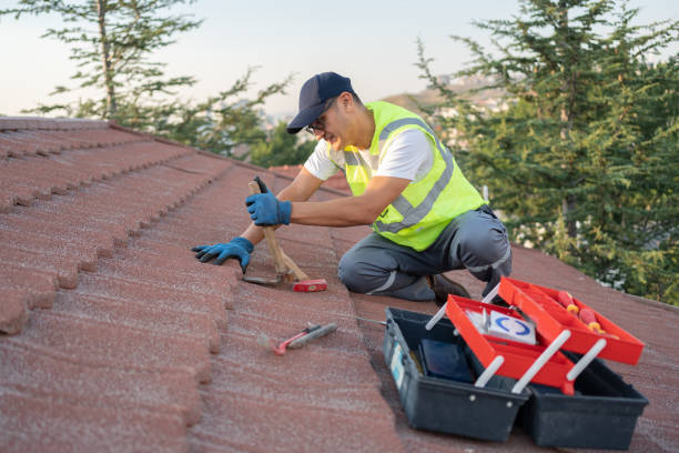 Roof Gutter Cleaning in Monessen, PA